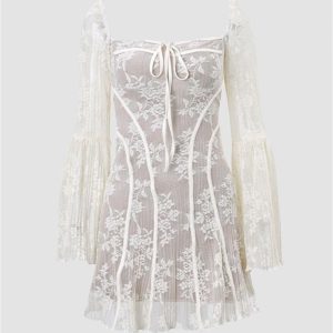 Ballet Lace Embroidery Corset Mini Dress - Y2K Aesthetic Cute Dress for Coquette Style