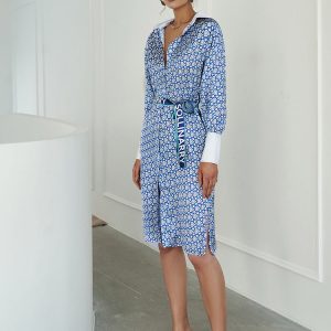 Elegant Print Long Sleeve V-Neck Midi Dress with Belt - Summer Satin A-Line Style